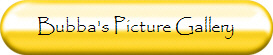 Bubba Bear's Picture Gallery