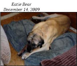 Katie Bear