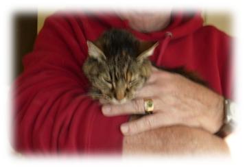 MaMa Teeger Cat