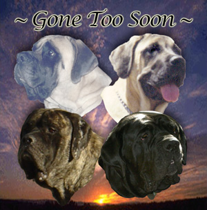 Sugarland's Pet Memorial