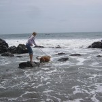 Clouseau at the Beach Clouseau at the Beach