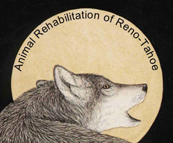 animalrehabilitation